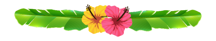 picture of Hibiscus flowers as divider